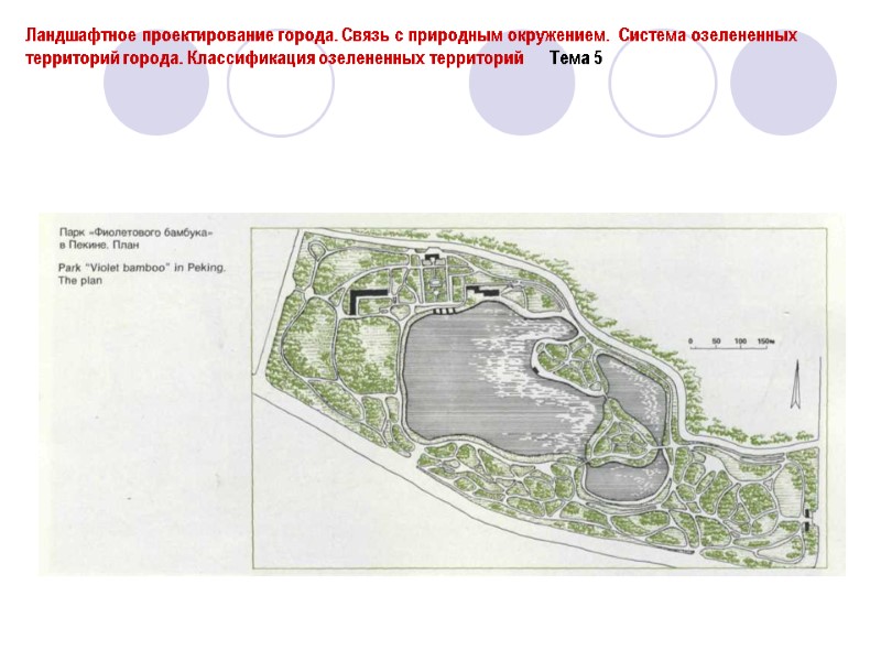 Ландшафтное проектирование города. Связь с природным окружением.  Система озелененных территорий города. Классификация озелененных